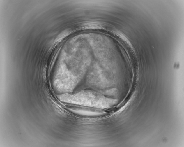 X0000093470777200711021231