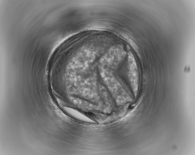 X0000093470779200711021231