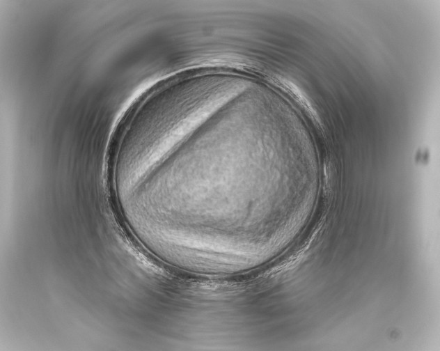 X0000093470780200711021231