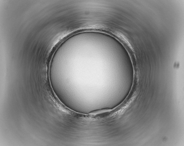 X0000093470781200711021231