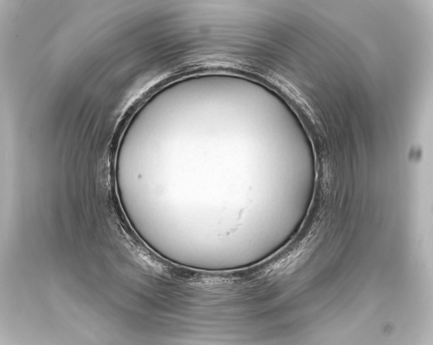 X0000093470782200711021231