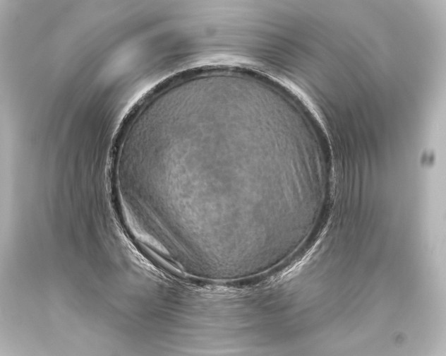 X0000093470783200711021231