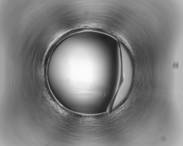 X0000093470784200711021231