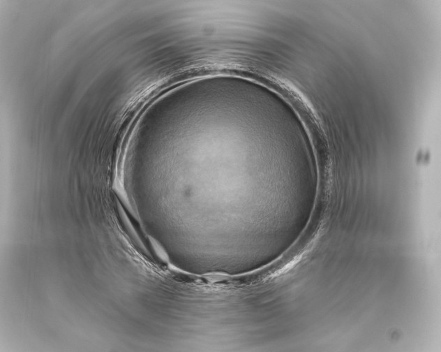 X0000093470785200711021231