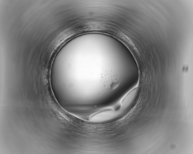 X0000093470786200711021231