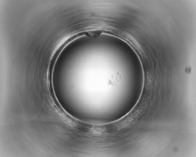 X0000093470788200711021231