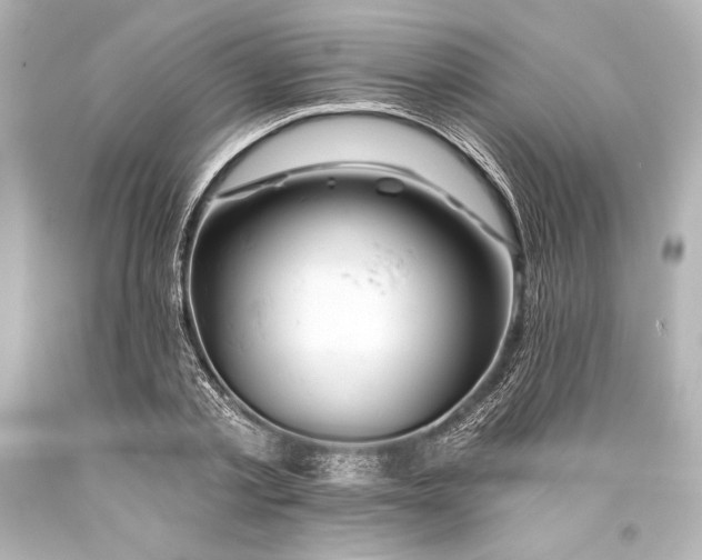 X0000093470789200711021231