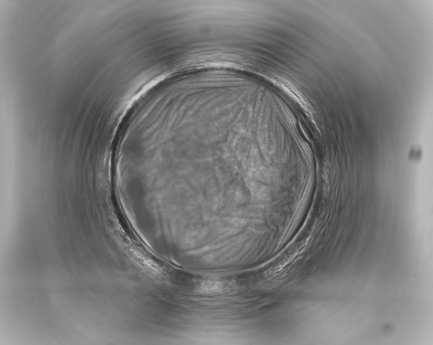 X0000093470790200711021231