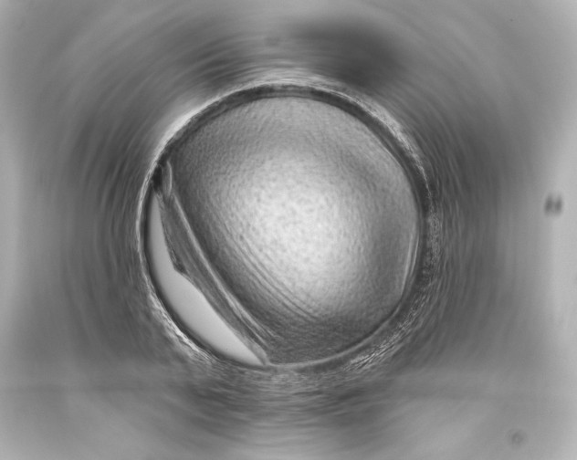 X0000093470791200711021231