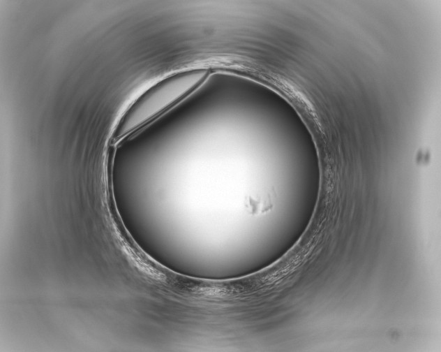 X0000093470792200711021231