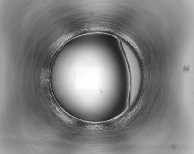 X0000093470793200711021231