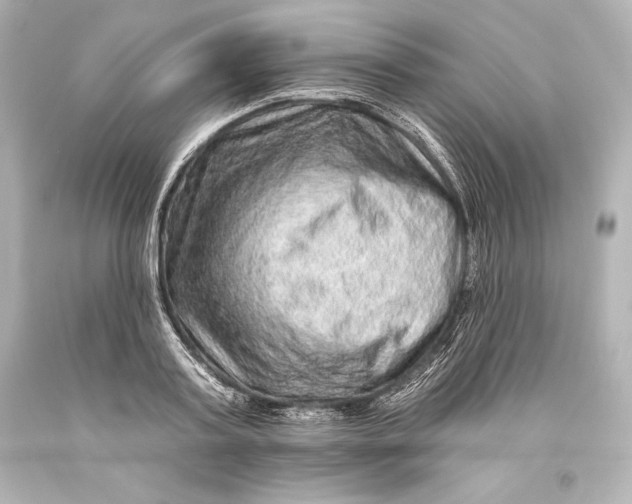 X0000093470795200711021231