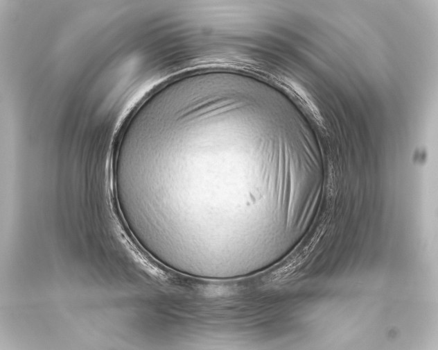 X0000093470796200711021231