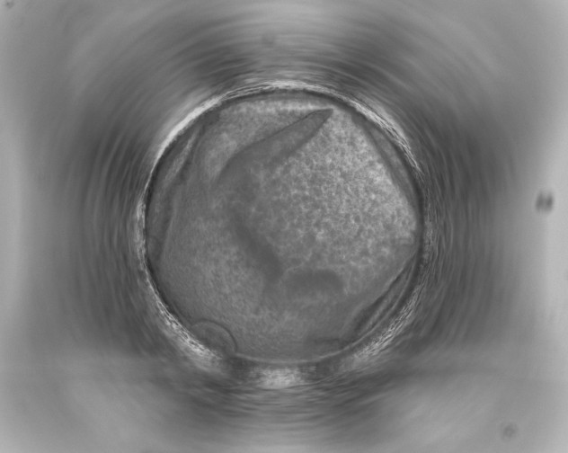 X0000093470798200711021231