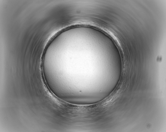 X0000093470799200711021231