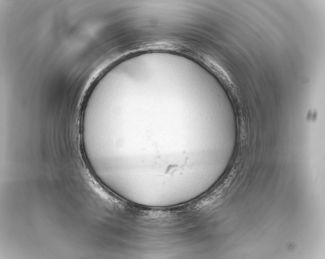 X0000093470800200711021231