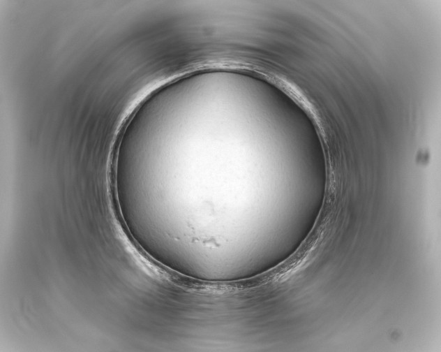 X0000093470803200711021231