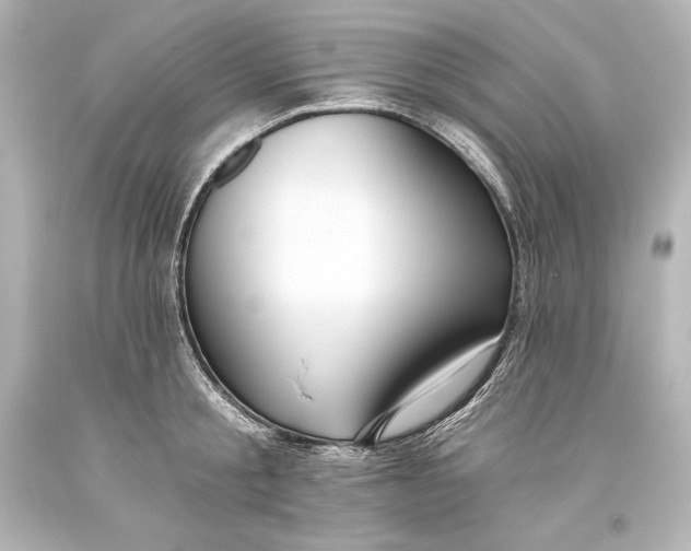 X0000093470805200711021231