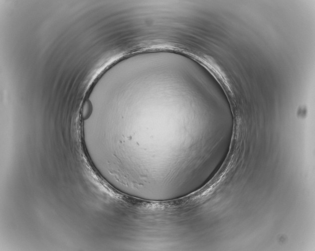 X0000093470806200711021231