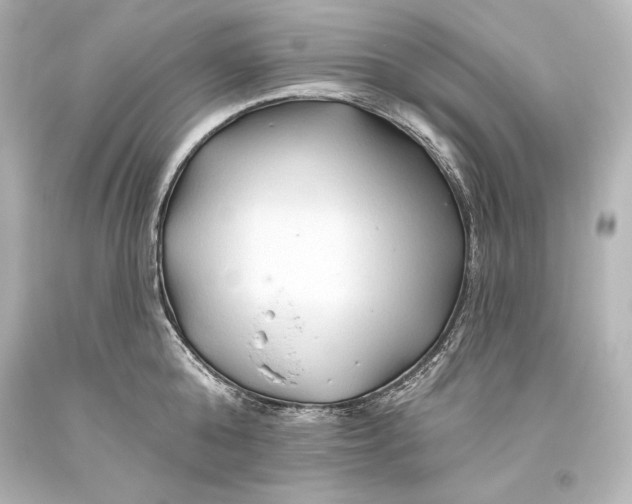 X0000093470808200711021231