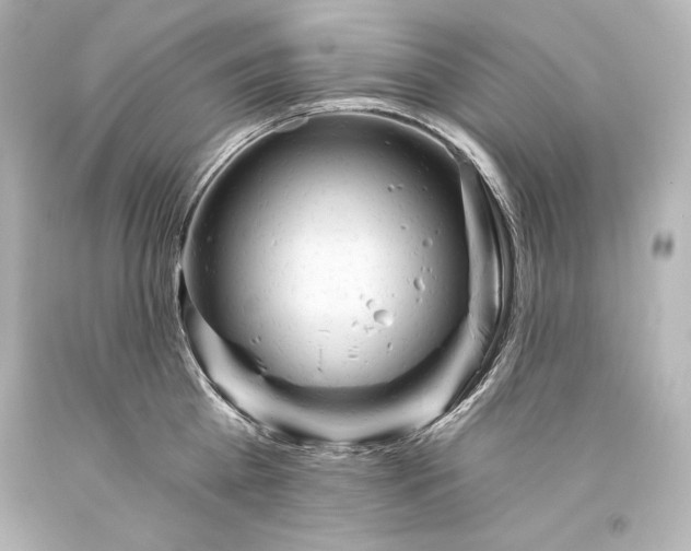 X0000093470809200711021231