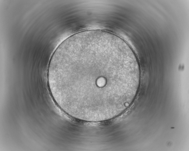 X0000093470810200711021231