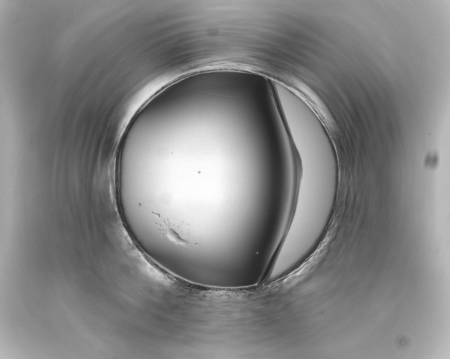 X0000093470812200711021231