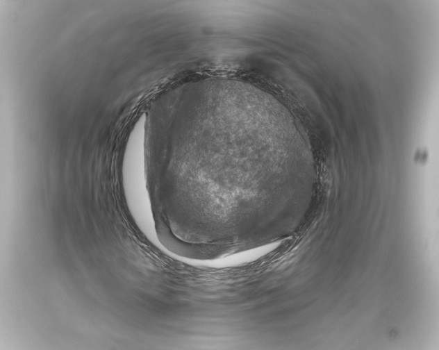 X0000093470818200711021230