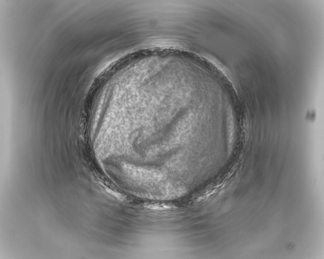 X0000093470823200711021230