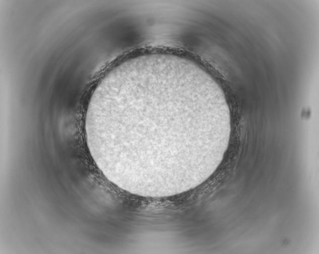 X0000093470824200711021230