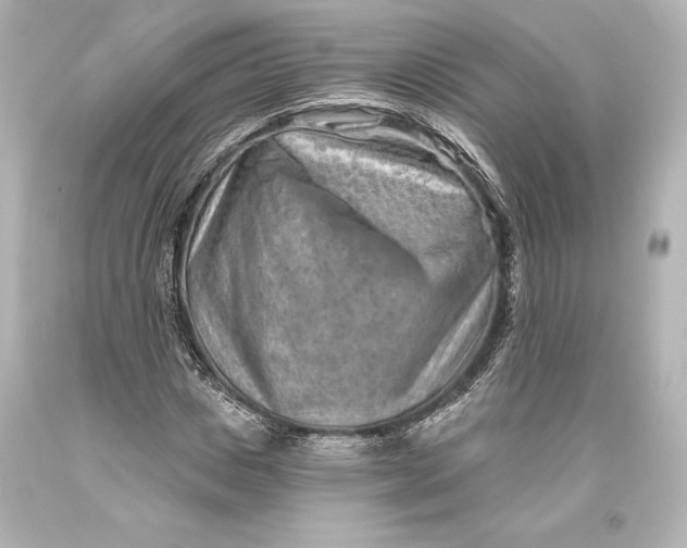 X0000093470825200711021230