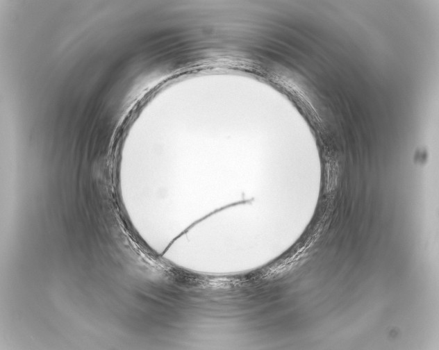 X0000093470828200711021230