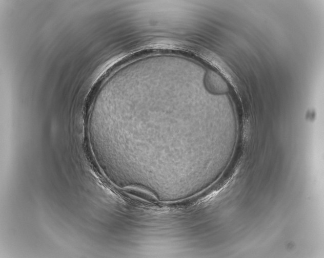 X0000093470829200711021230