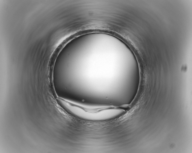 X0000093470830200711021230