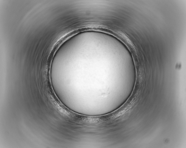 X0000093470831200711021230