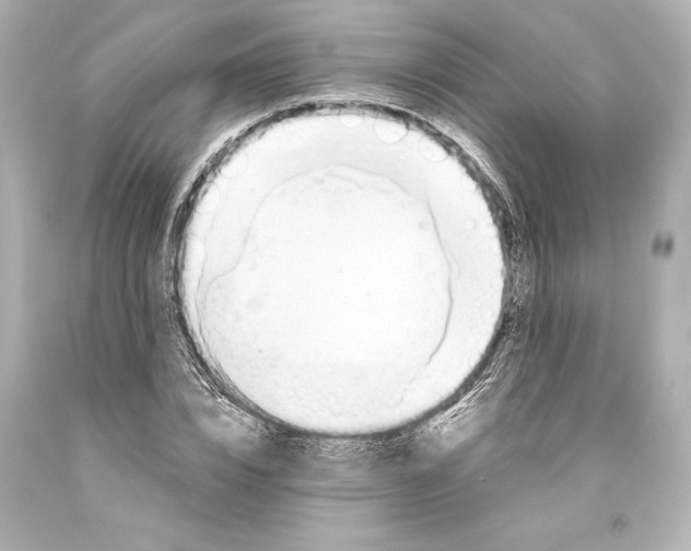 X0000093470832200711021230