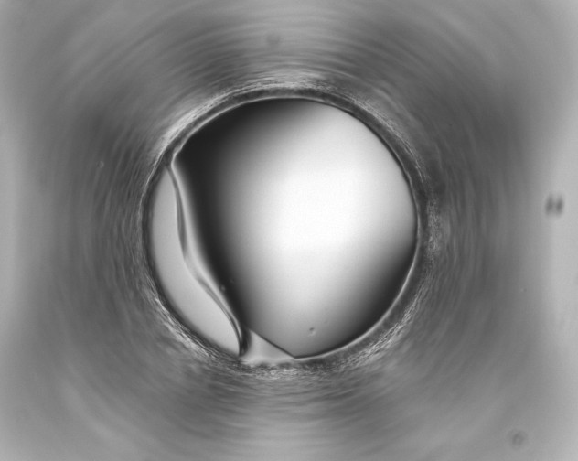 X0000093470834200711021230