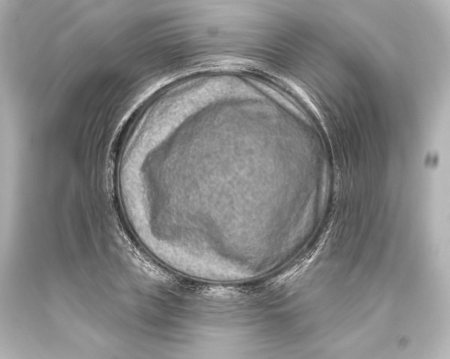 X0000093470835200711021230