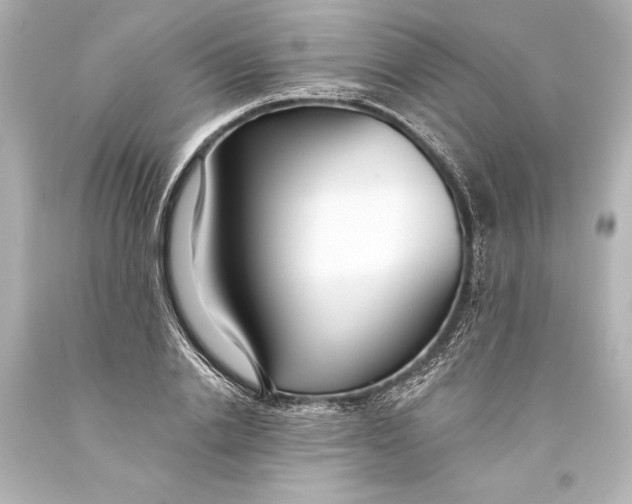 X0000093470838200711021230