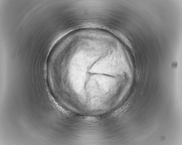 X0000093470839200711021230