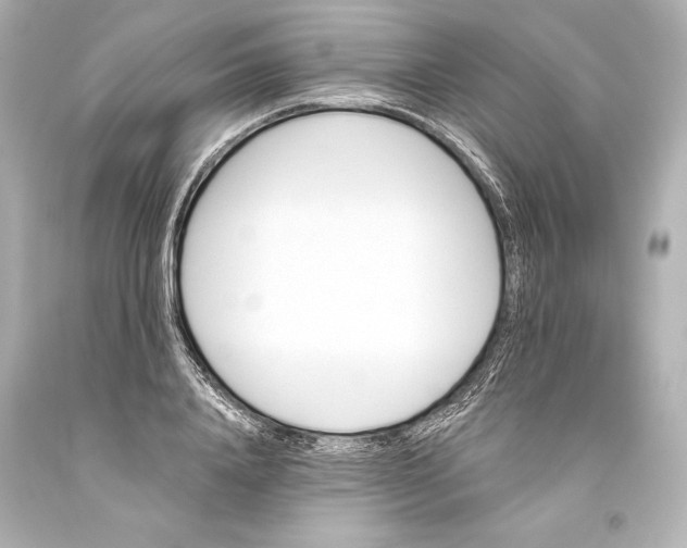 X0000093470840200711021230