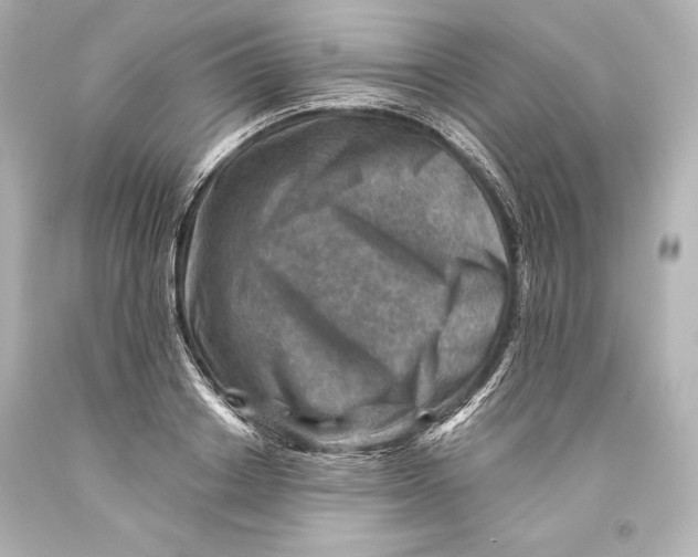 X0000093470842200711021230