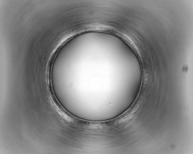 X0000093470843200711021230