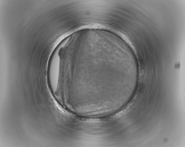 X0000093470845200711021230