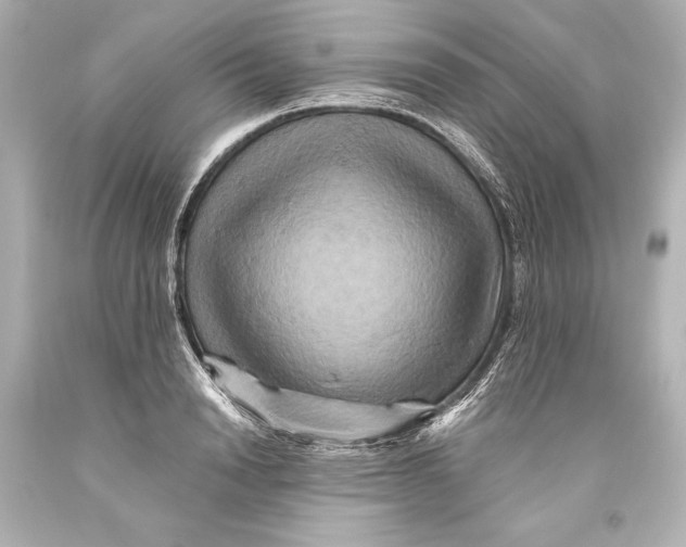 X0000093470846200711021230