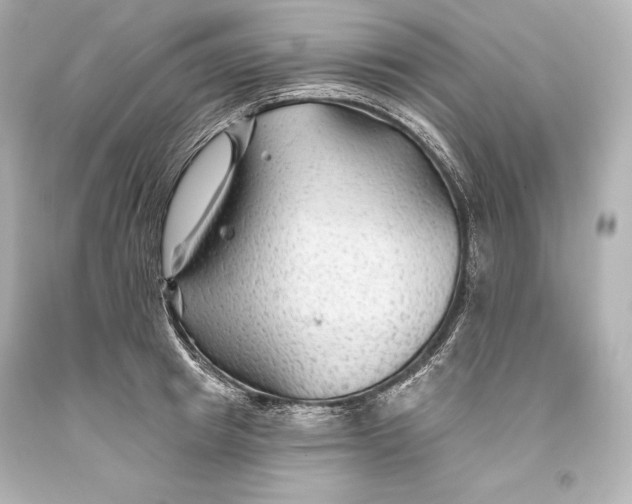 X0000093470849200711021230