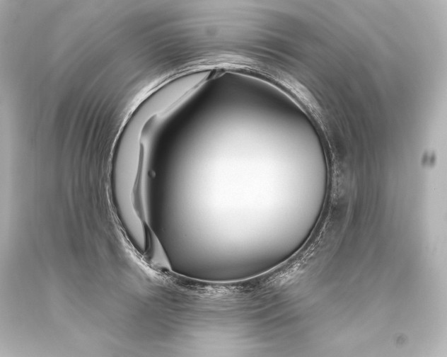 X0000093470850200711021230