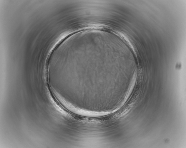 X0000093470851200711021230