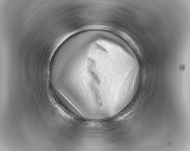 X0000093470852200711021230