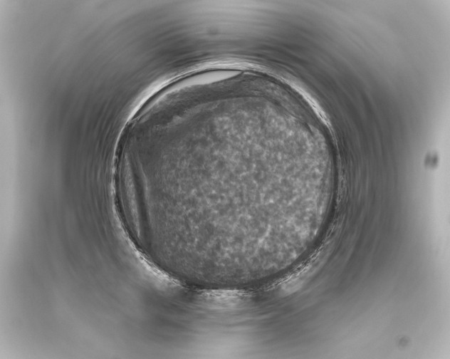 X0000093470853200711021230